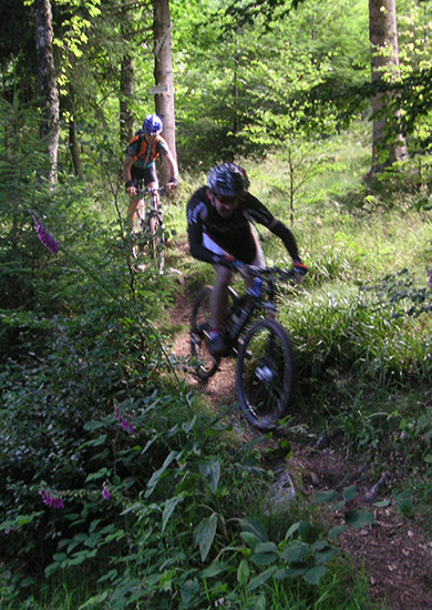 Our mountain bike tours