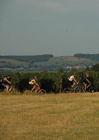 Fahrrad - Mountainbike - E-bike