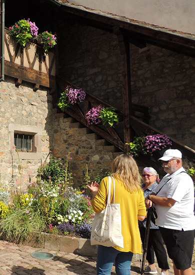 Visites guidées