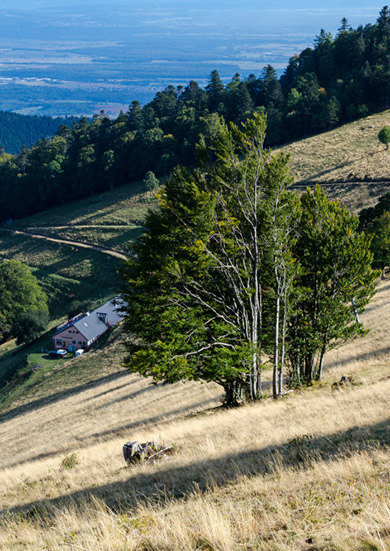 Les plus beaux panoramas