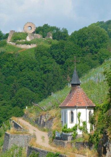 Vignoble