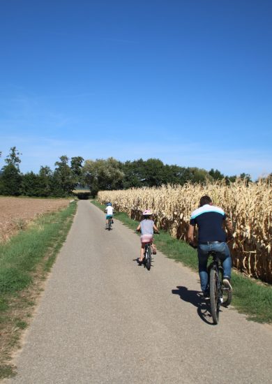 Radwege und Grünwege