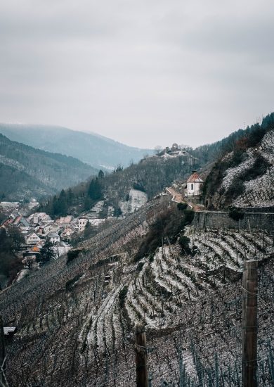 Vineyards