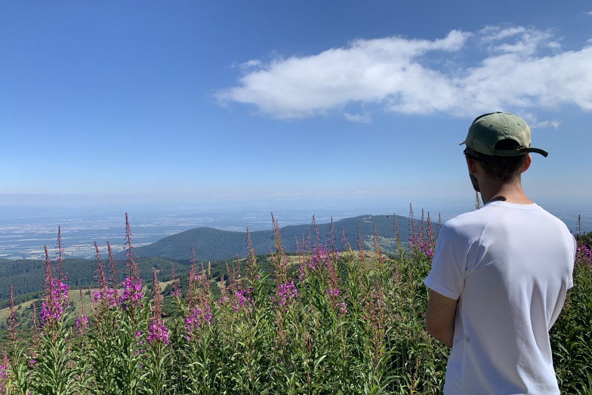 Vue depuis le Grand Ballon©OTTC Léa Manigold