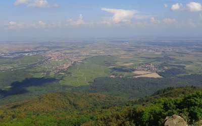Balade : Le versant Sud du Molkenrain
