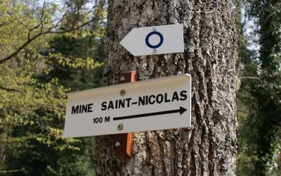 Balade : découverte du vallon de Steinbach