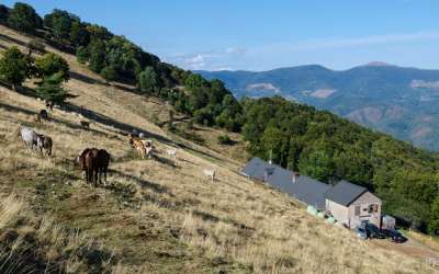 Randonnée : Le Thannerhubel