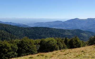 Balade : Le petit tour du Markstein