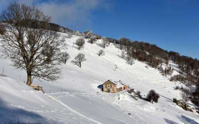 Balade ferme-auberge Thannerhubel : entre les alignements de pierre