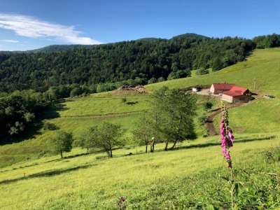 Ferme-auberge du Kohlschlag