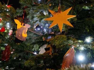 Conte théâtralisé : au pays des sapins