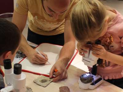 Atelier : les mystères de la fossilisation