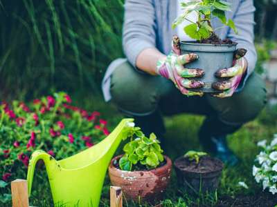 Papotage et jardinage