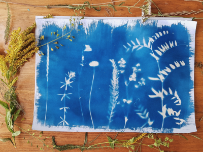 Initiez-vous au cyanotype