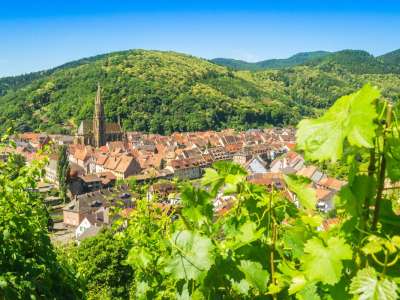 Vignobles en Scène Alsace : mise en lumière du patrimoine viticole et architectural
