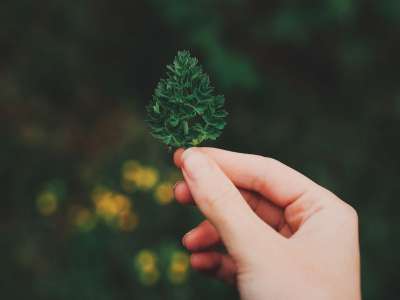 Atelier : créé ton fétiche !