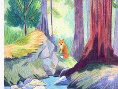 Exposition : la nature en couleurs