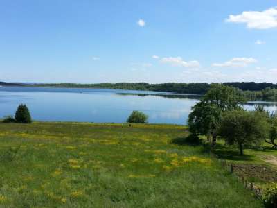 Sortie nature : les oiseaux d’eau hivernants du plan d’eau de Michelbach