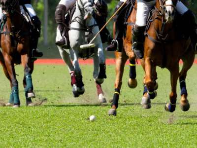 Pony games
