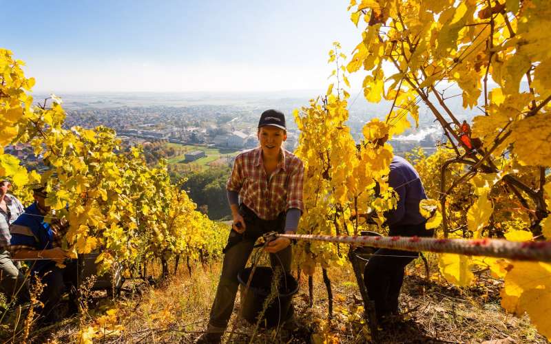 ©Jérémie_Reuiller