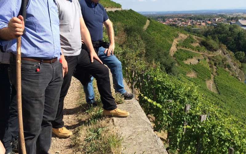 ©Chrystelle Secula Kurc